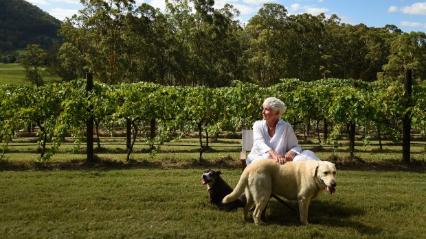 Helen Gillard of Mill Creek vineyard: ''The grapes are looking beautiful and the vines are so exhausted.''