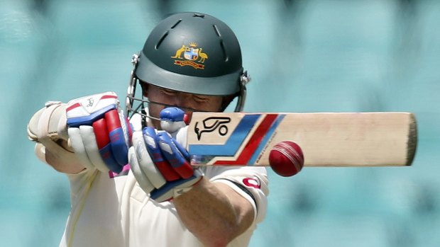 Shield dream: Chris Rogers, 38 in August, is 90 per cent sure this season of the shield will be his last.
