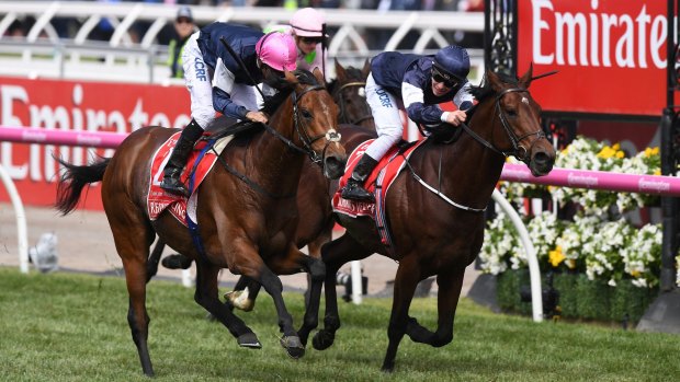 Corey Brown (left) reacts after Rekindling beat Johannes Vermeer (right) to win the Melbourne Cup.