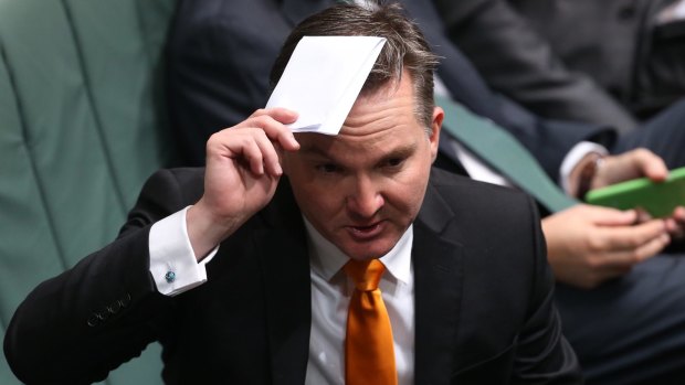 Chris Bowen raises a point of order with the Speaker during a division at Parliament House on Wednesday.