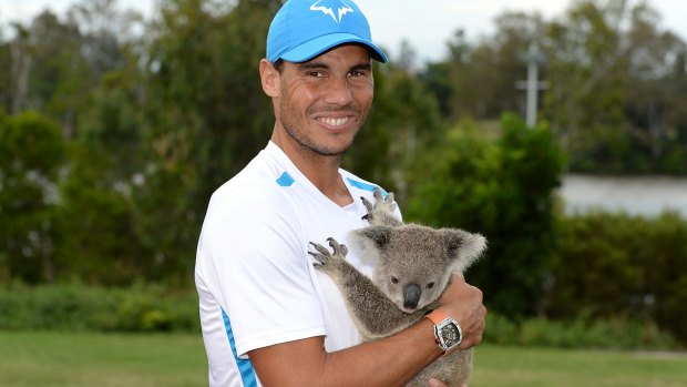 Mandatory shot: Rafael Nadal poses with a Koala before the Brisbane International.