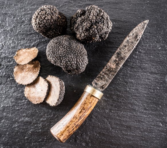 The timing of Sydney's lockdown has coincided with peak truffle season. 