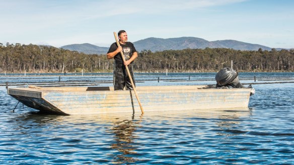 Oyster farmer Shane Buckley is battling the effects of climate change. 