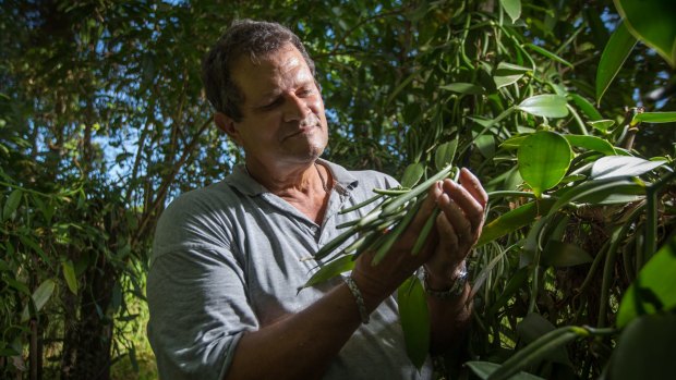 George Gonthier, owner of Daintree Vanilla & Spice. Queensland's climate is perfect for cultivating vanilla.