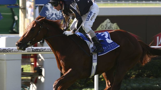 Srikandi takes out the Glenlogan Parks Stakes last year at Doomben.