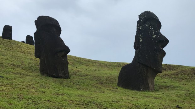 There is a definite human ''presence'' among the moai.