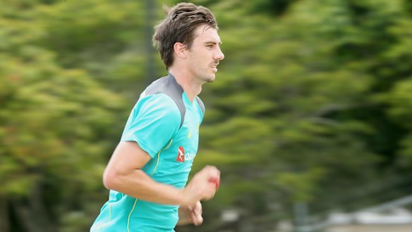 Shane Warne says Pat Cummins should be used in a Mitchell Johnson-type role.