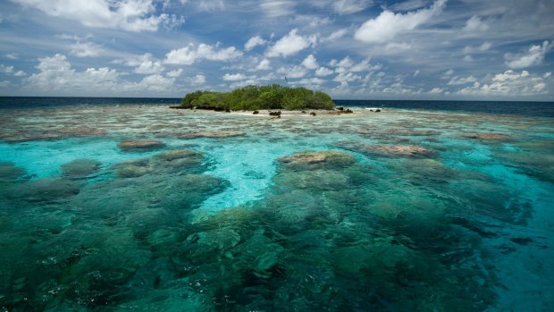 Little island in the middle of the lagoon of Fakarava.