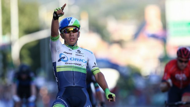 The man to beat: Caleb Ewan will be closely watched during the lead-up race to the Tour Down Under.