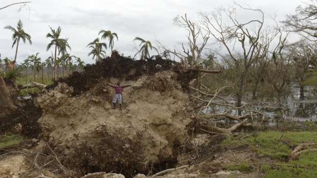 A child climbs on a block of earth under an uprooted tree near Port Vila.