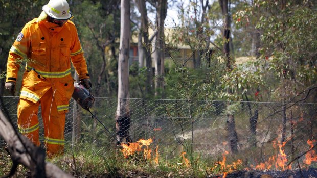 The National Capital Authority will carry out controlled burns of the grasslands at Yarramundi.