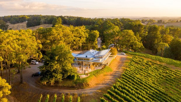 Pike and Joyce at Lenswood, Adelaide Hills.