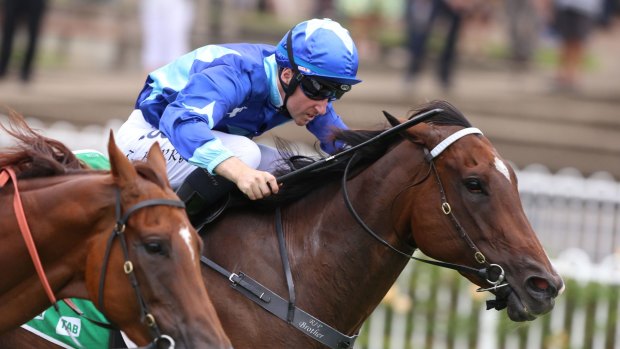 Together again: Tommy Berry rides Rose Of Man to victory at Rosehill earlier this year. 