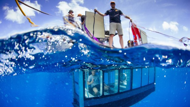 The Aqua Sub features a submersible glass viewing area where tourists can see sharks move about. 