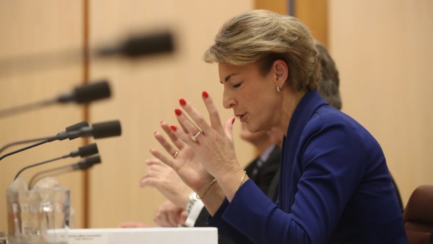 Employment Minister Michaelia Cash denies she misled Parliament about her office's involvement after a staffer admitted to tipping off the media about a police raid on the Australian Workers Union.