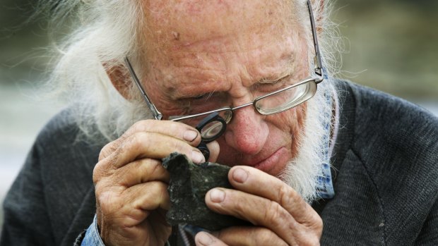 Volunteer Norman Gardiner in search of dinosaur bones hidden in the rock at Cape Otway in Victoria.