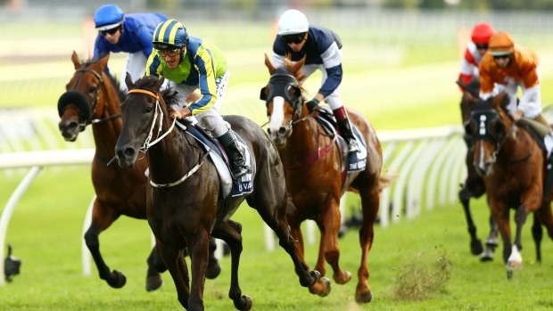 Front-runner: Damien Oliver rides Lucia Valentina to win The Longines Queen Elizabeth Stakes at Randwick. 