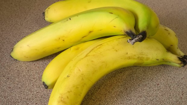 A new strain of Panama disease threatens banana crops.