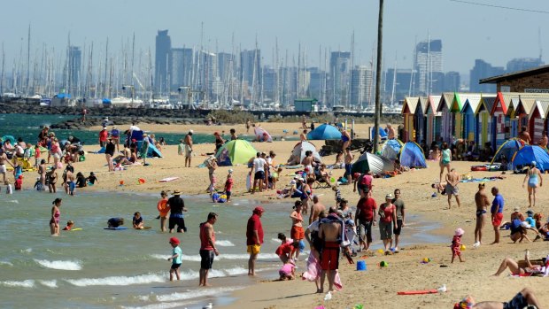 Melbourne's beaches might soon be looking more like this.