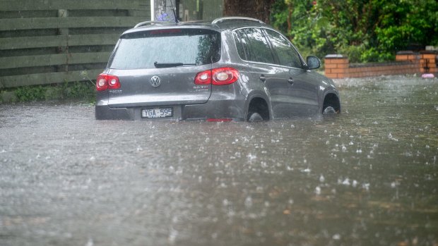 The Elster Creek has swelled, flooding the Elwood canal.