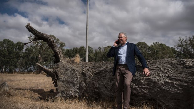 Telstra chief executive Andrew Penn next to the 100th mobile base station in Culla, Victoria, built under round one of the government's mobile black spots program. 