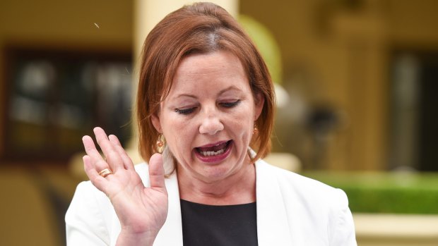 Caught in an expenses scandal, Sussan Ley was forced to stand down.
