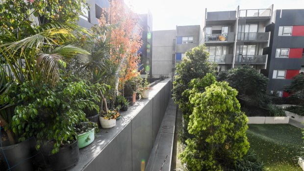 The wall separating the public housing (left) from private apartments and their exclusive garden at the Carlton development.  