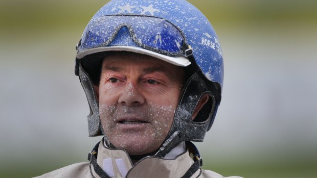 Jockey Mark Purdon is happy with his preparations for Lazarus ahead of the New Zealand Trotting Cup on Tuesday.