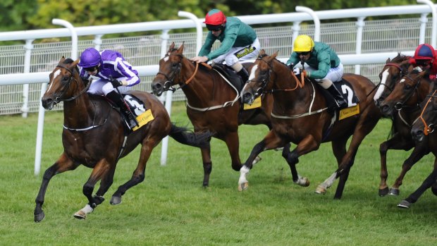 Sydney target: Irish star Highland Reel (left) could be set for The Championships next autumn.
