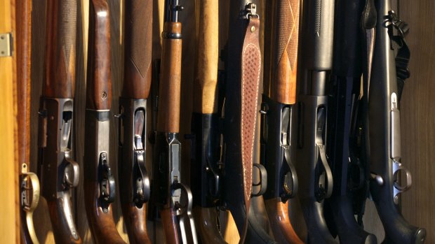 Eighty-seven Victorians  had their firearm licences reinstated in 2015-16.