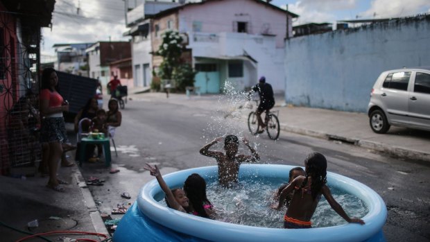 Children bathe in a pool on the street in Recife, Pernambuco state, Brazil last week. The first cases of microcephaly were reported in the state last year.