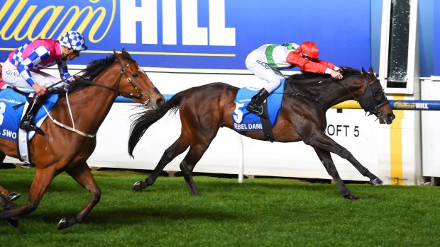 Group 1 quality: Rebel Dane wins the Manikato Stakes at Moonee Valley in the spring.