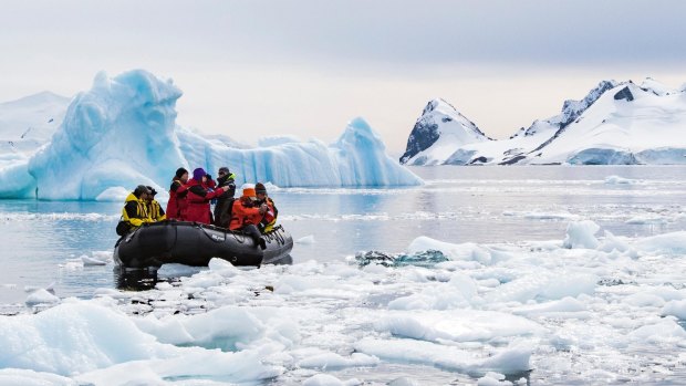 Antarctica, says Phil Asker, will astonish with "hundreds of icebergs and coastal cliffs covered in ice". "Taking the polar plunge and seeing, hearing and smelling thousands of penguins on the beach are also hard to beat," he says. Raman recommends Antarctica cruises that include the Falkland Islands and South Georgia.