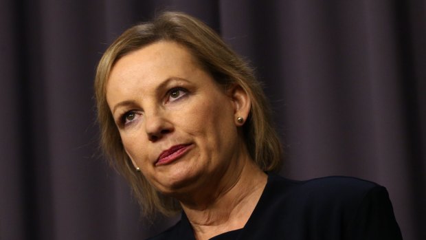 Health Minister Sussan Ley's department has told the centres that the program will be discontinued.