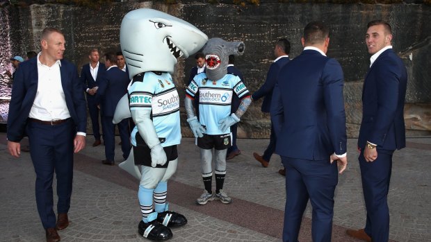 Going nowhere: The Sharks are a picture of health in 2016.