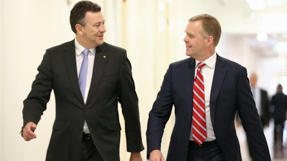 Voted in: Tony Smith, right, arrives for the partyroom meeting.