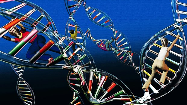 Genetic research may unlock new medical treatments. <i>Illustration: Harry Afentoglou</i>