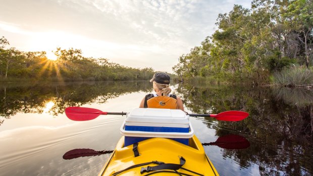 Kayaking the Noosa Everglades.
