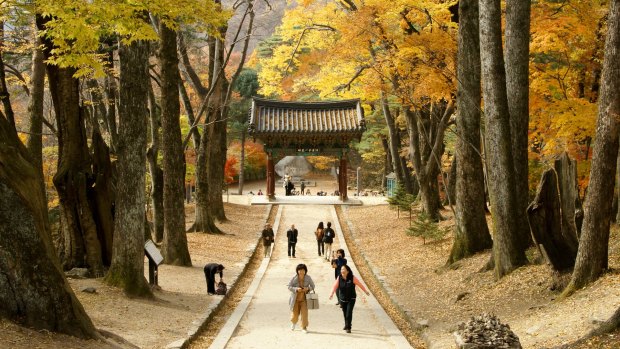 People enter Haeinsa Buddhist Temple in Daegu, South Korea. 