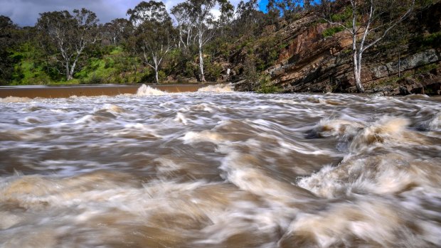 The Yarra was going full bore at  Dights Falls in Warrandyte. 