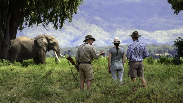 Guides control whether you live or die on walking safaris.