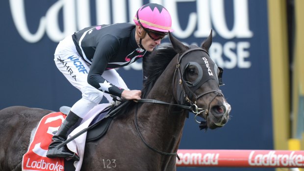 Mr Sneaky is set for the Australia Stakes.