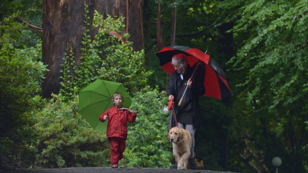 Jenny Highland and 4-year-old Abe Pritchard go for a walk in Victoria's coldest and wettest town - Ferny Creek.