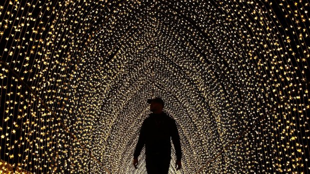 A man walks inside the "Cathedral of Light" at The Royal Botanic Gardens.