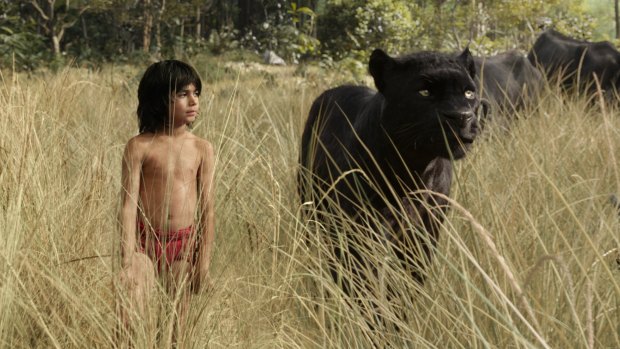 Mowgli (Neel Sethi) and Bagheera (voice of Ben Kingsley) embark on a captivating journey in <i>The Jungle Book</i>.