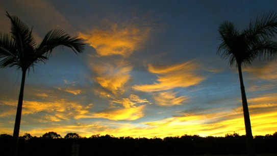 Species in the tropics may be less able to cope with temperature changes than those in cooler climes.