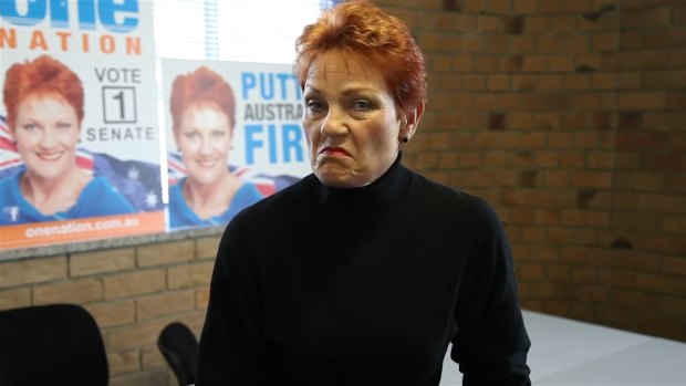 Pauline Hanson puts media on notice on the Facebook page Pauline Hanson's Please Explain.
