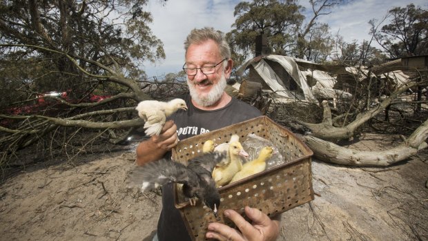Noel Frunks with some of the 400 ducklings and chicks which survived the fire.