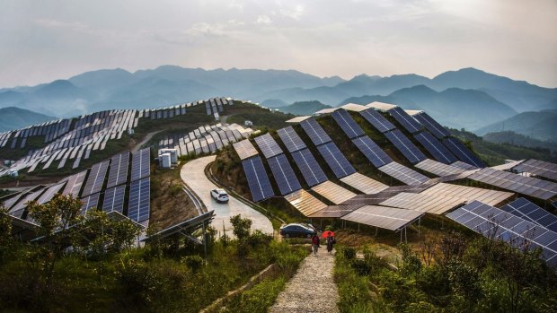 Solar PV panels in China's Fujian province: David Green of Lyon Group says Australia is "naive" about the technology.