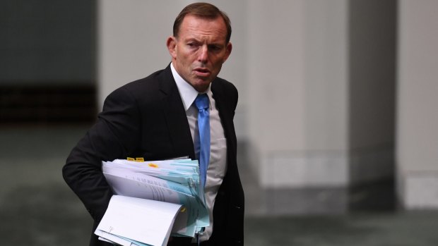 Tony Abbott has sought to broaden the debate about same-sex marriage into an all-out culture war.
